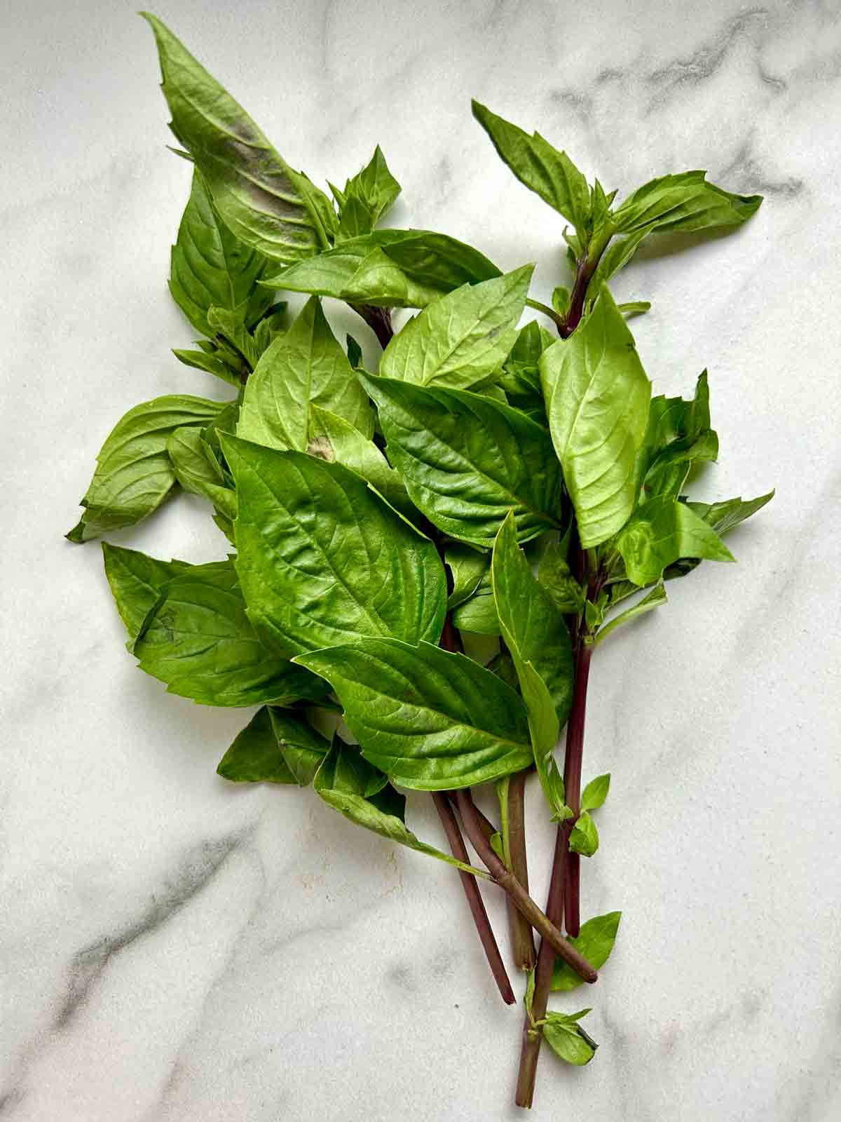 10 Best Thai Basil Recipes To Try