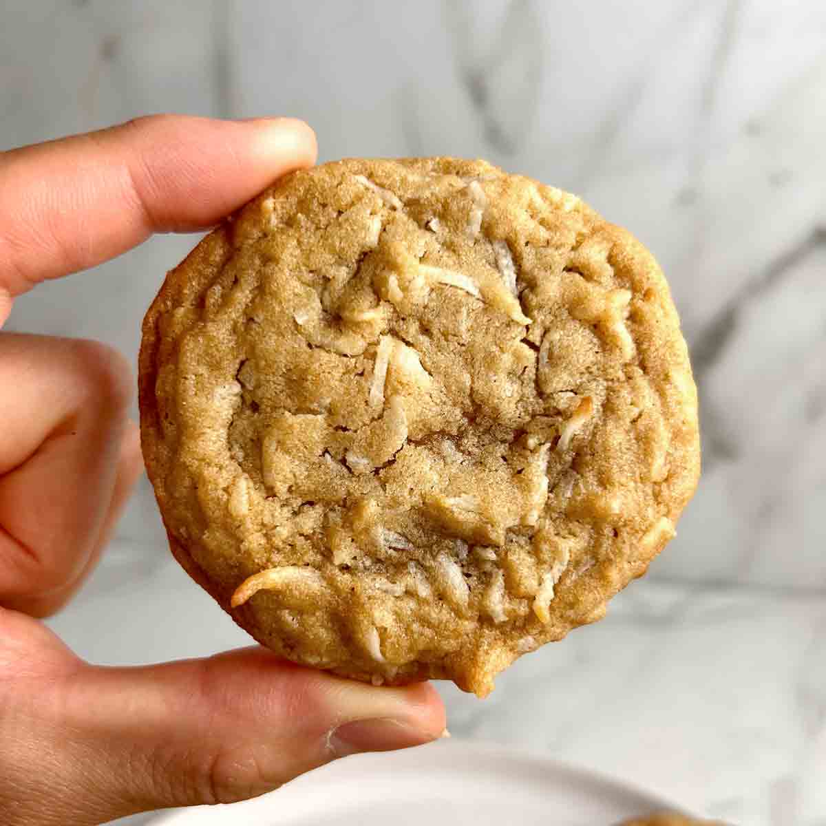 Coconut Cookies