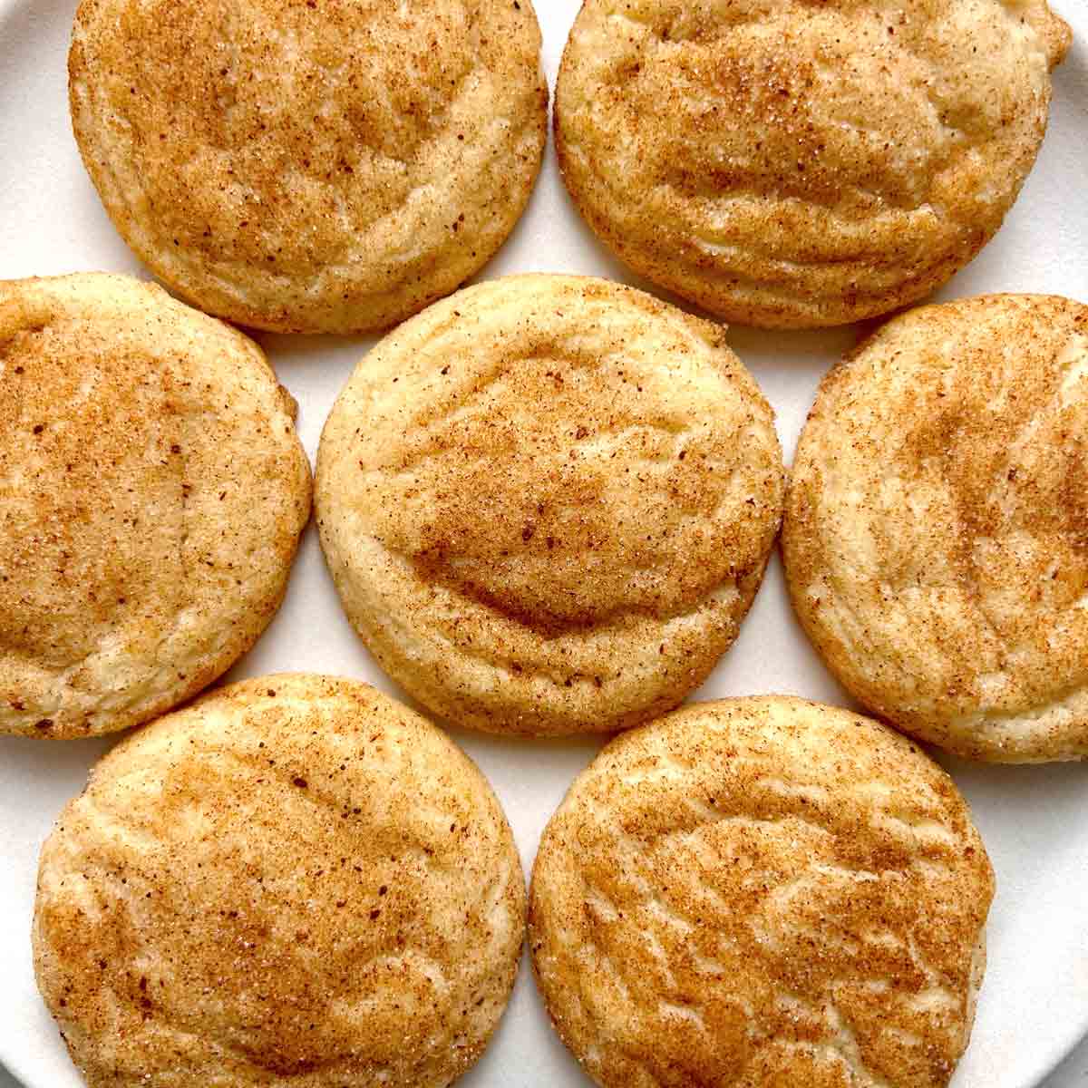 The BEST Snickerdoodles