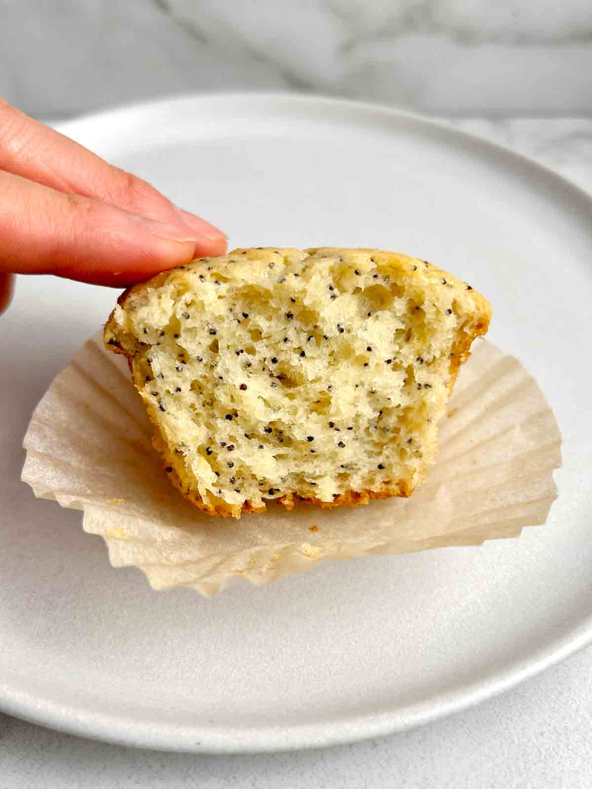 muffin with piece taken out of it to show the crumb.