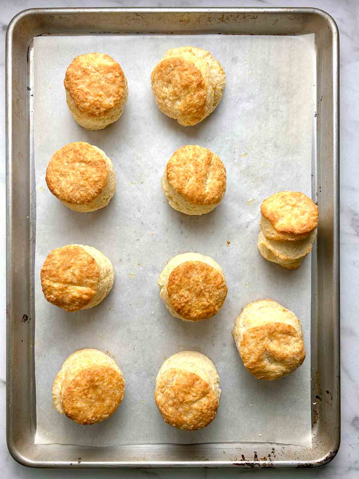 sourdough biscuits after baking.