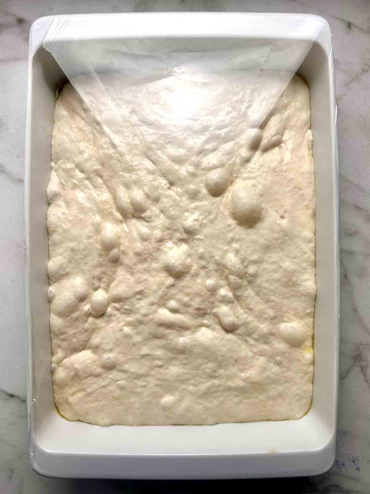 dough puffy and jiggly after second rise.