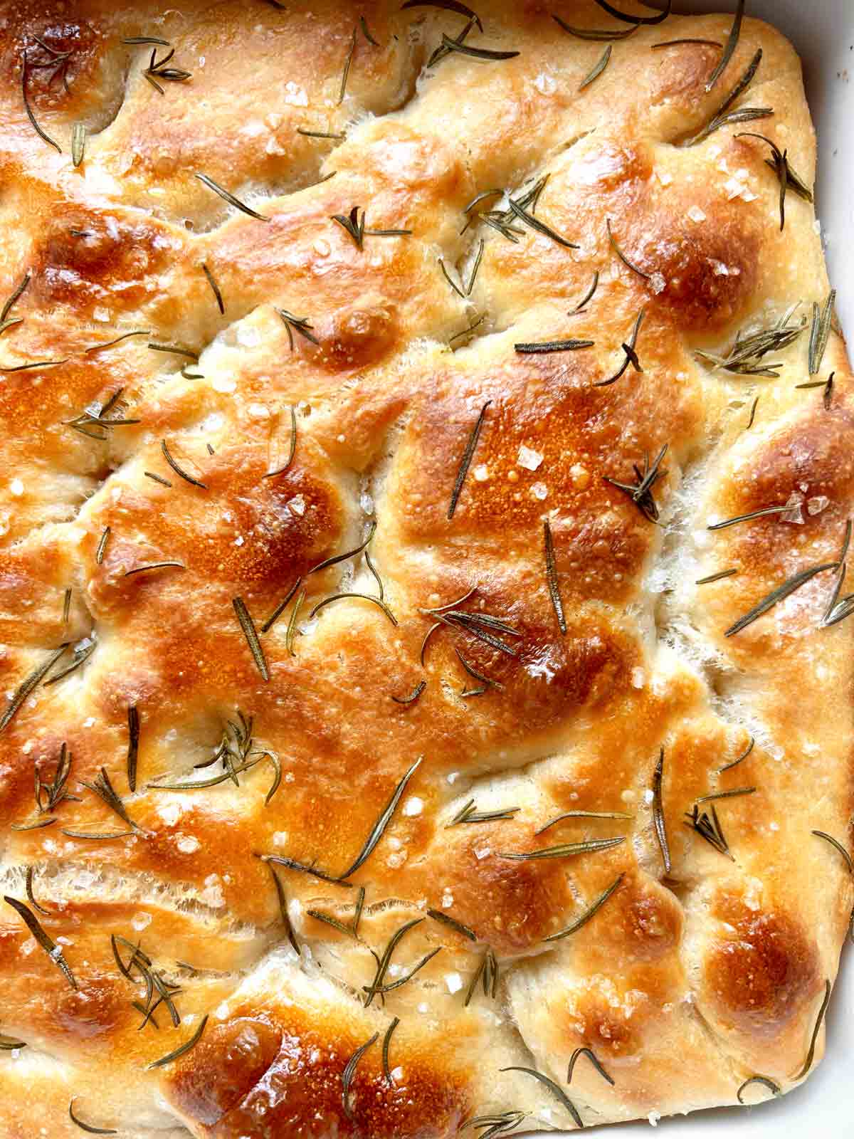 close of out outer crust of focaccia.