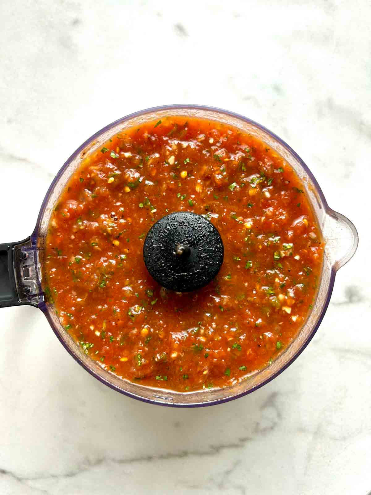 salsa ingredients blended until well combined in food processor.